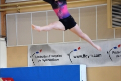 Photo-Saint-Die-2026-dimanche-aprem-GAF-429-scaled