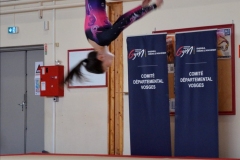 Photo-Saint-Die-2026-dimanche-aprem-GAF-438-scaled