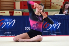 Photo-Saint-Die-2026-dimanche-aprem-GAF-444-scaled