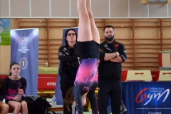 Photo-Saint-Die-2026-dimanche-aprem-GAF-445-scaled