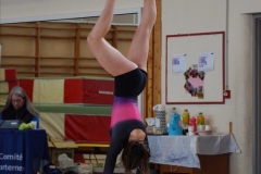 Photo-Saint-Die-2026-dimanche-aprem-GAF-448-scaled