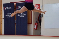 Photo-Saint-Die-2026-dimanche-aprem-GAF-451-scaled