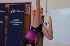 Photo-Saint-Die-2026-dimanche-aprem-GAF-459-scaled