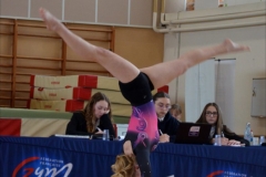 Photo-Saint-Die-2026-dimanche-aprem-GAF-468-scaled