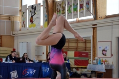 Photo-Saint-Die-2026-dimanche-aprem-GAF-473-scaled