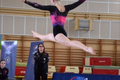 Photo-Saint-Die-2026-dimanche-aprem-GAF-474-scaled