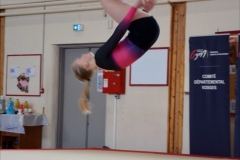 Photo-Saint-Die-2026-dimanche-aprem-GAF-477-scaled