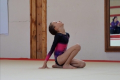 Photo-Saint-Die-2026-dimanche-aprem-GAF-484-scaled