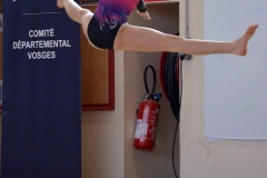 Photo-Saint-Die-2026-dimanche-aprem-GAF-489-scaled