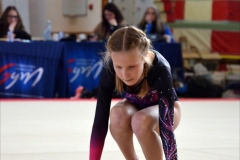 Photo-Saint-Die-2026-dimanche-aprem-GAF-491-scaled