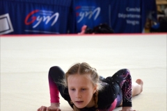 Photo-Saint-Die-2026-dimanche-aprem-GAF-492-scaled