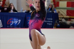 Photo-Saint-Die-2026-dimanche-aprem-GAF-494-scaled