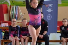 Photo-Saint-Die-2026-dimanche-aprem-GAF-498-scaled