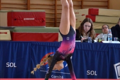 Photo-Saint-Die-2026-dimanche-aprem-GAF-502-scaled