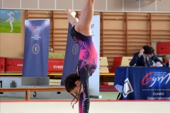 Photo-Saint-Die-2026-samedi-GAF-113-scaled