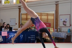 Photo-Saint-Die-2026-samedi-GAF-131-scaled