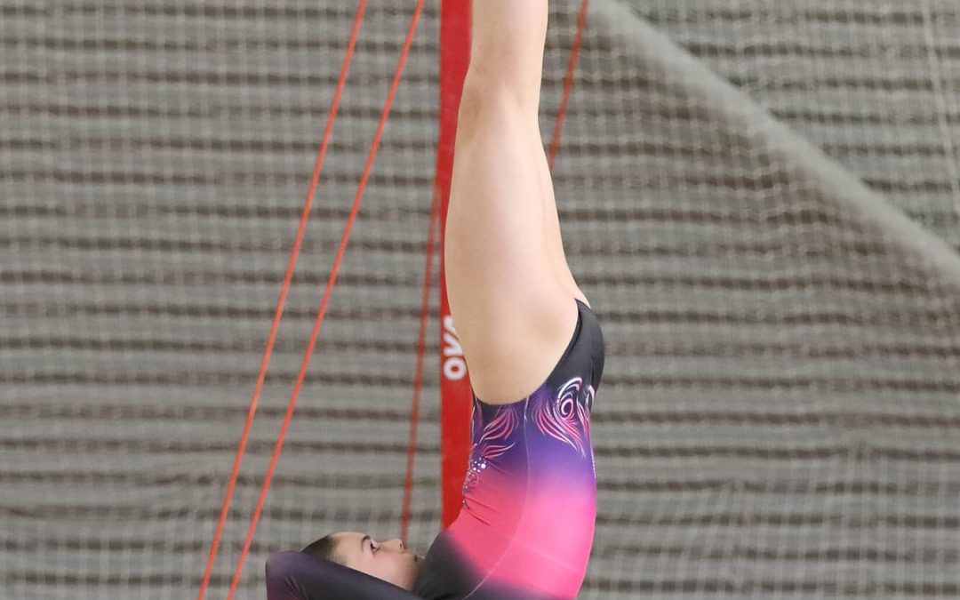 Compétition Interdépartementale Epinal 14-15 Février 2026